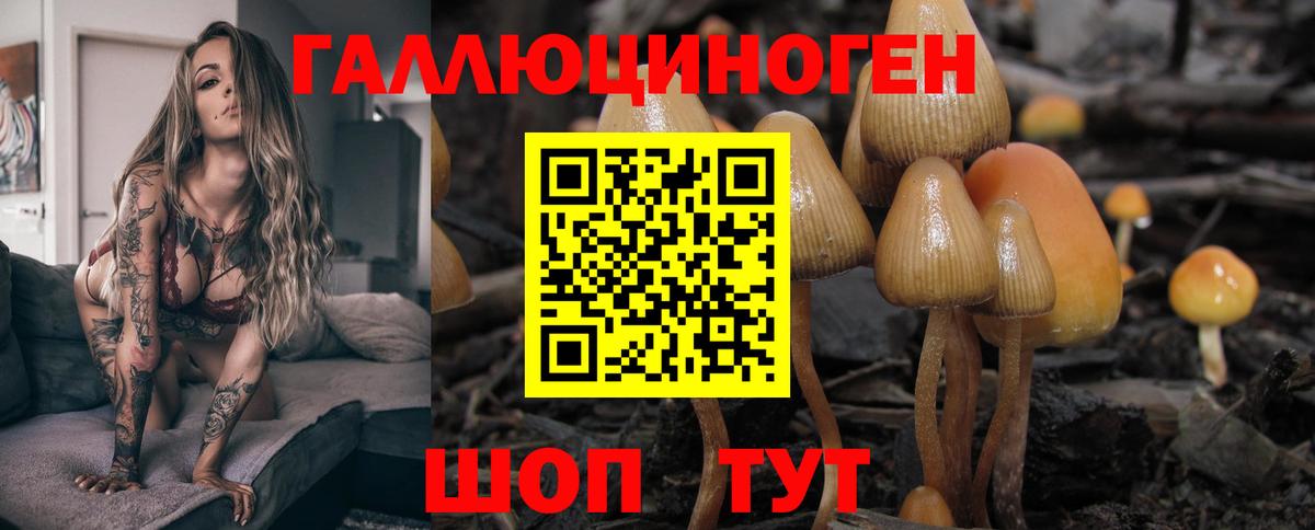Фролово  Псилоцибиновые грибы прущие грибы  Вход с VPN 
